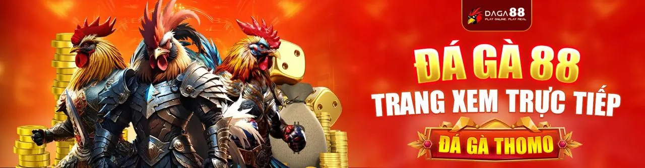 Đá gà ibet88 trang chủ chính thức